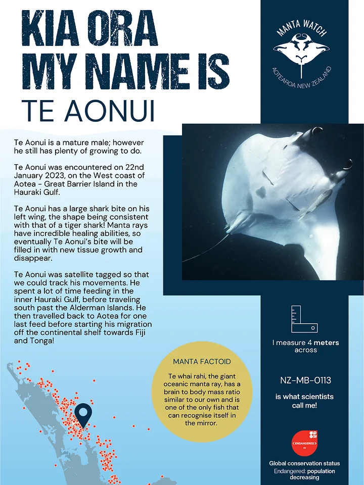 Te-Aonui - Adopt A Manta Pack product image (1)