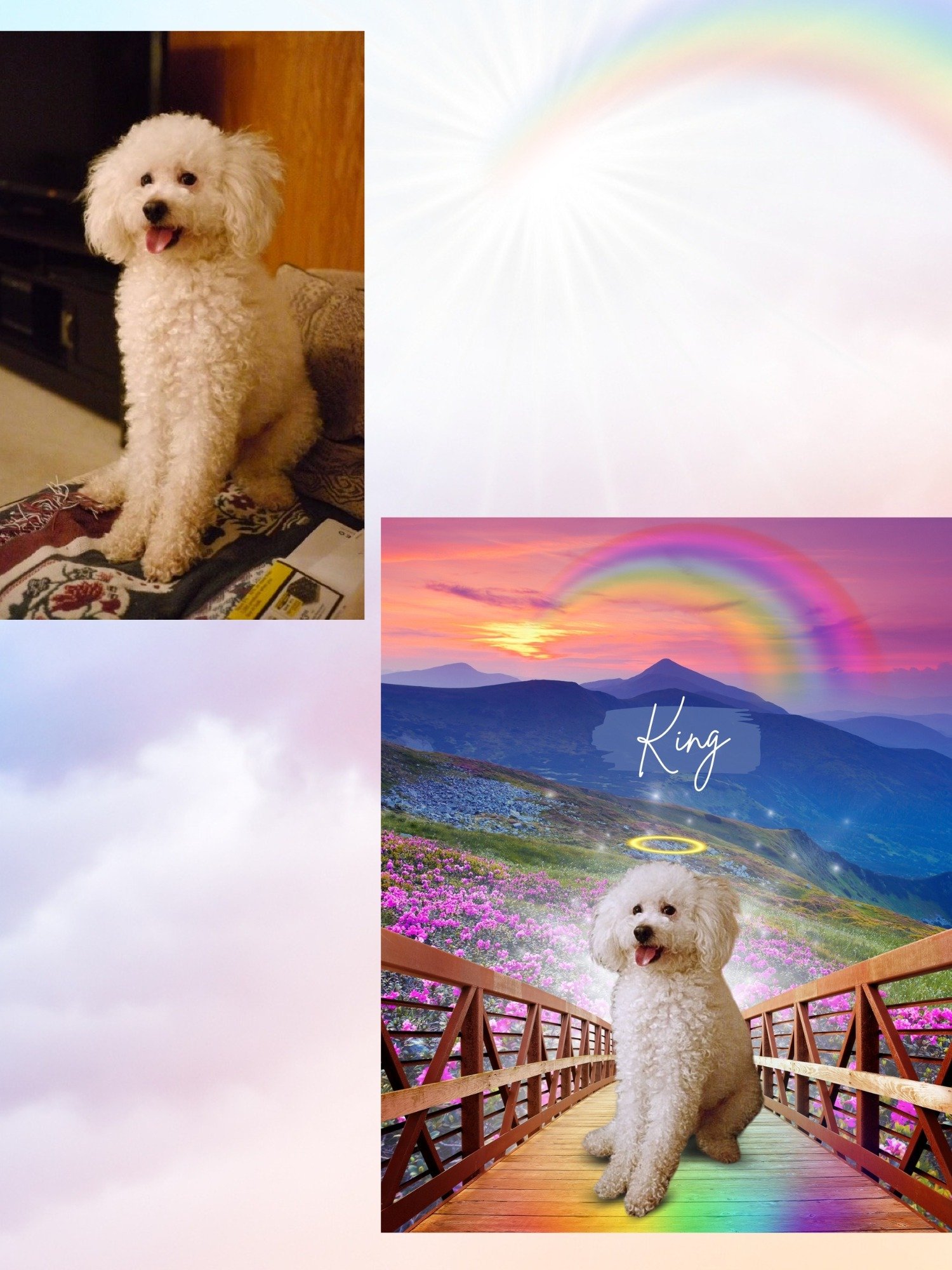 Rainbow Bridge Custom Portrait product image (8)