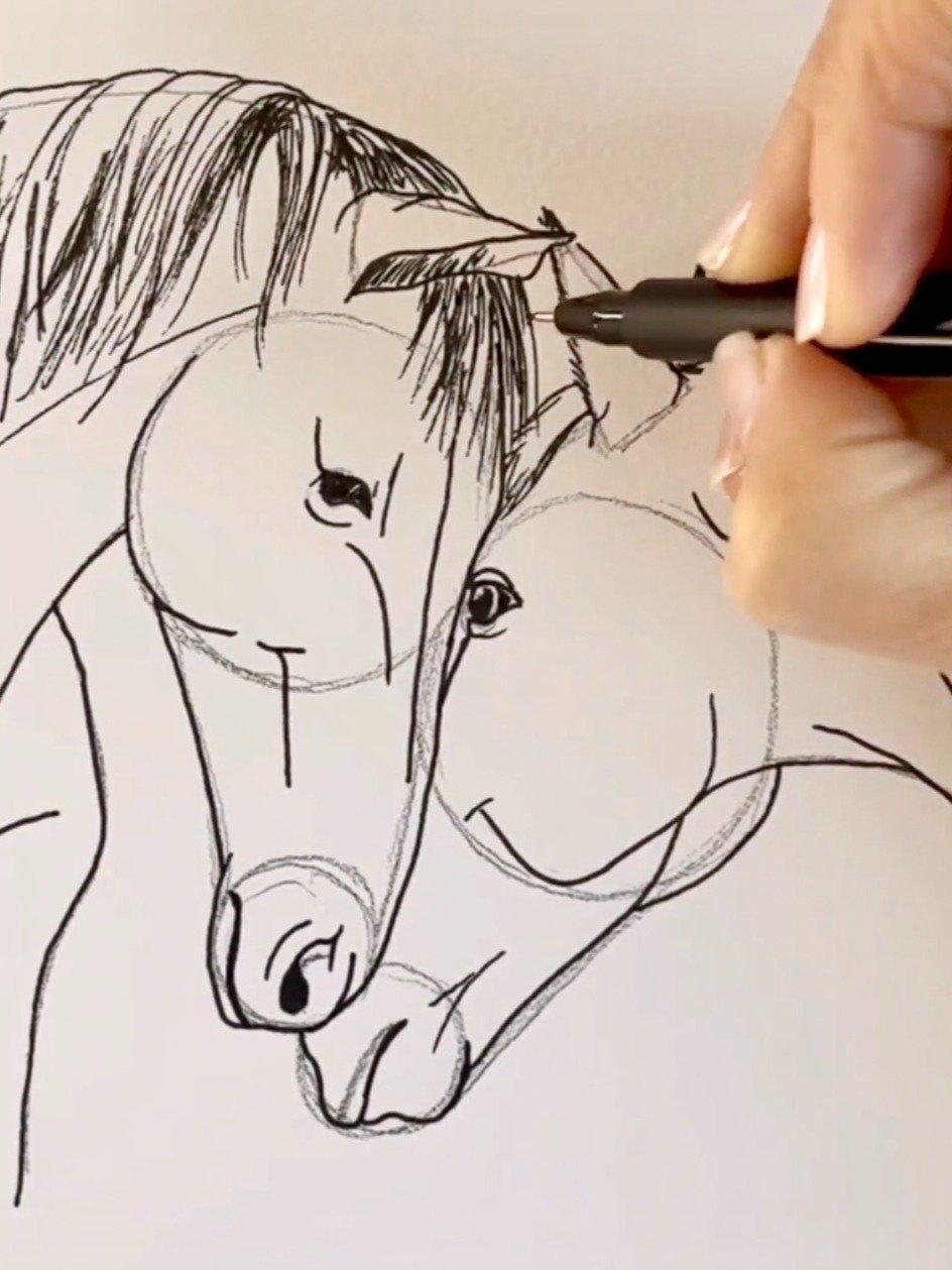 Cuddling Horses Fine Art Print | Harriet Muller product image (5)