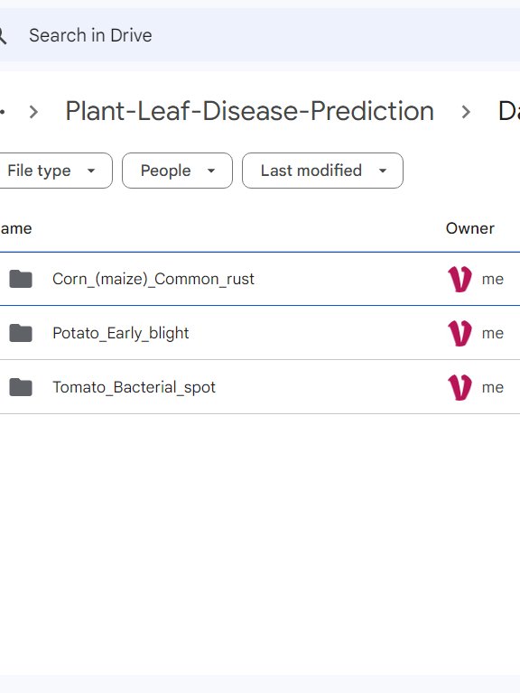 Plant leaf Disease detection Final Year Project with Streamlit App product image (4)