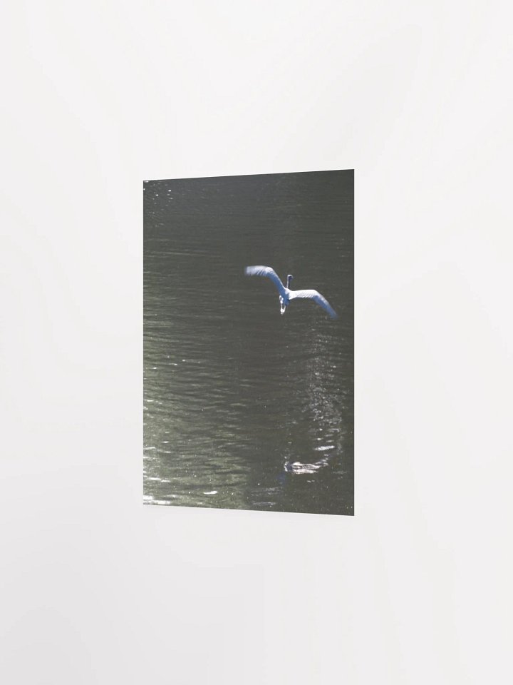 Flying Heron product image (18)