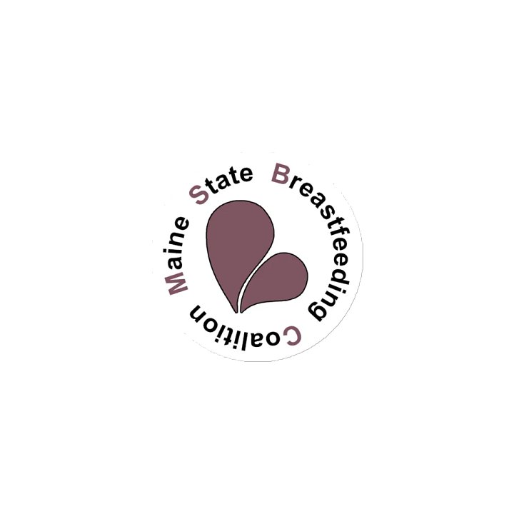 MSBC Logo Magnet product image (1)
