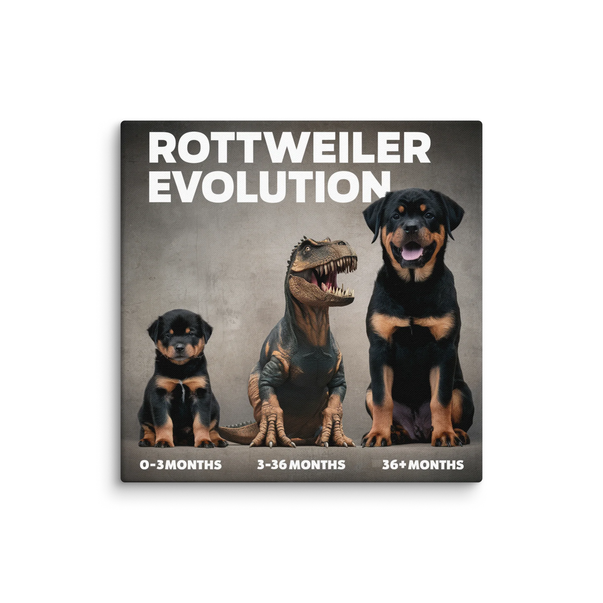 Rottweiler Evolution Canvas product image (1)