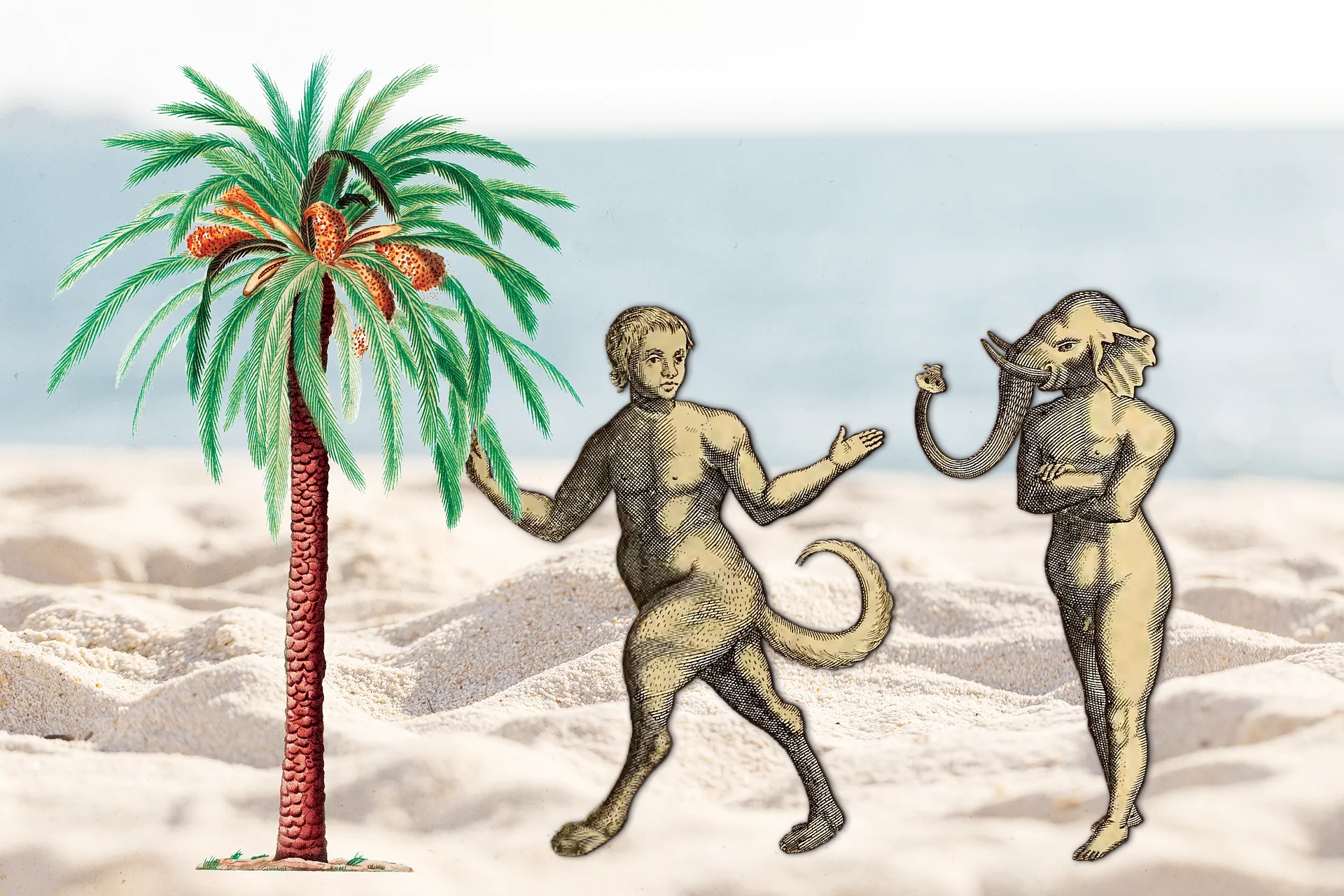 Day at the Beach product image (1)