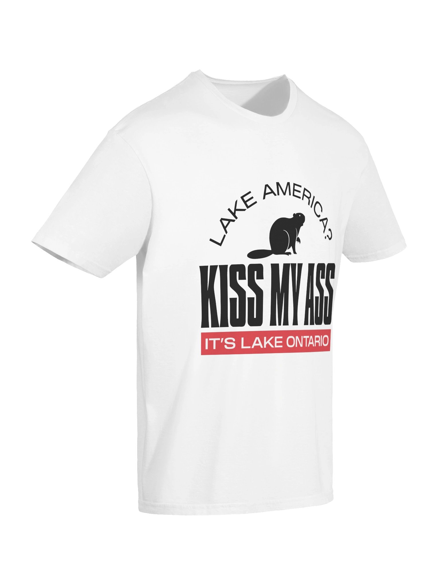 Kiss My Ass - It's Lake Ontario Tee product image (76)