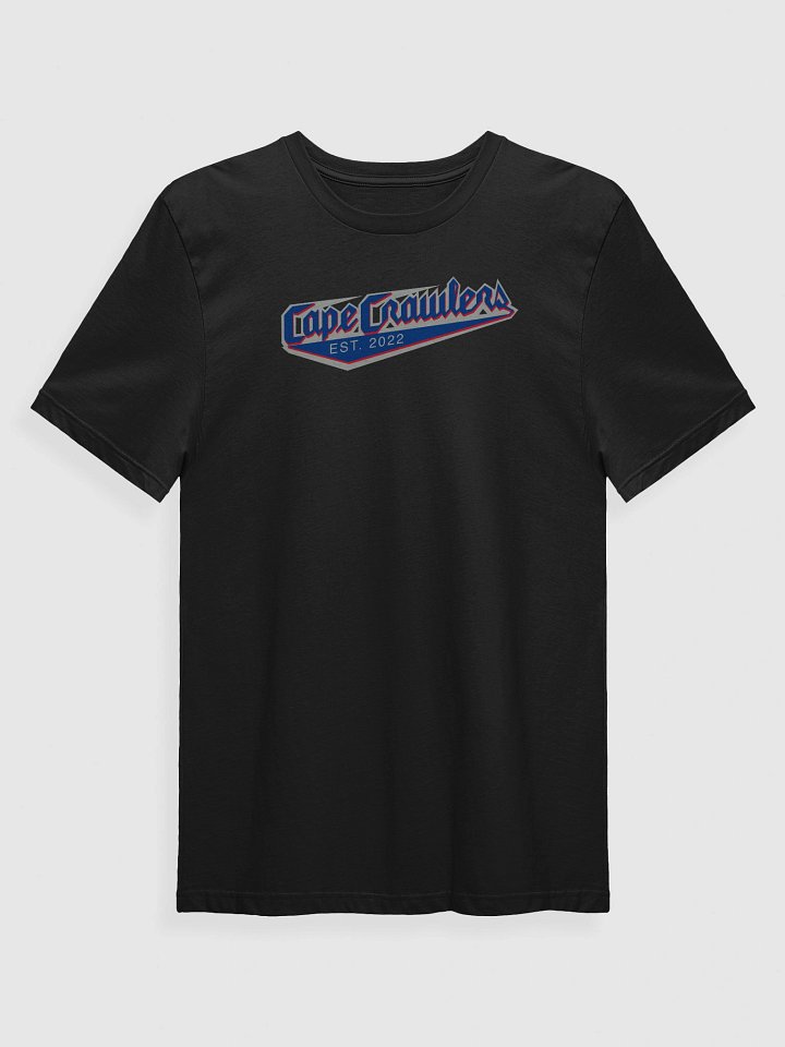 Varsity Logo Tee (blue) product image (9)