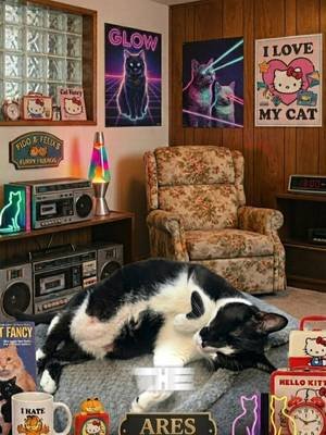 #tuxiearmy #cat #cats #ai #sunday 