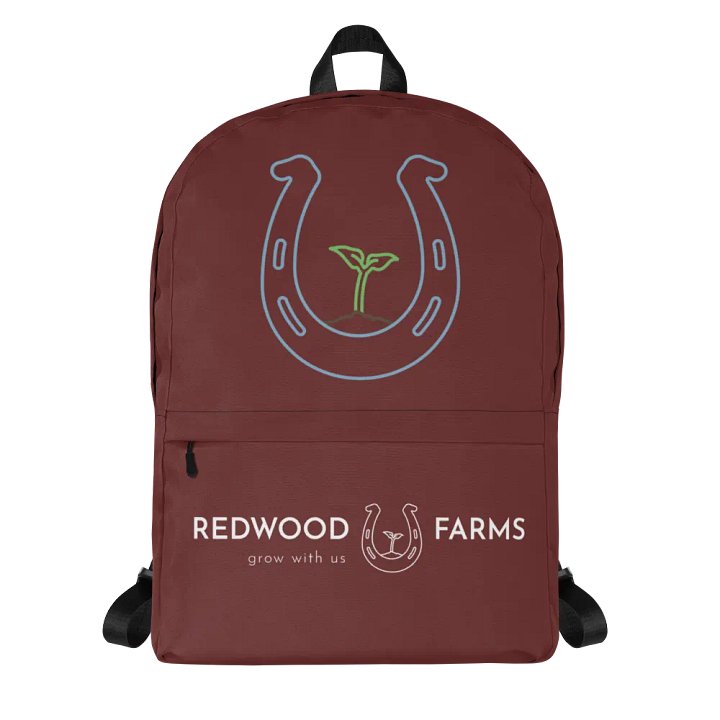 Back packs product image (1)