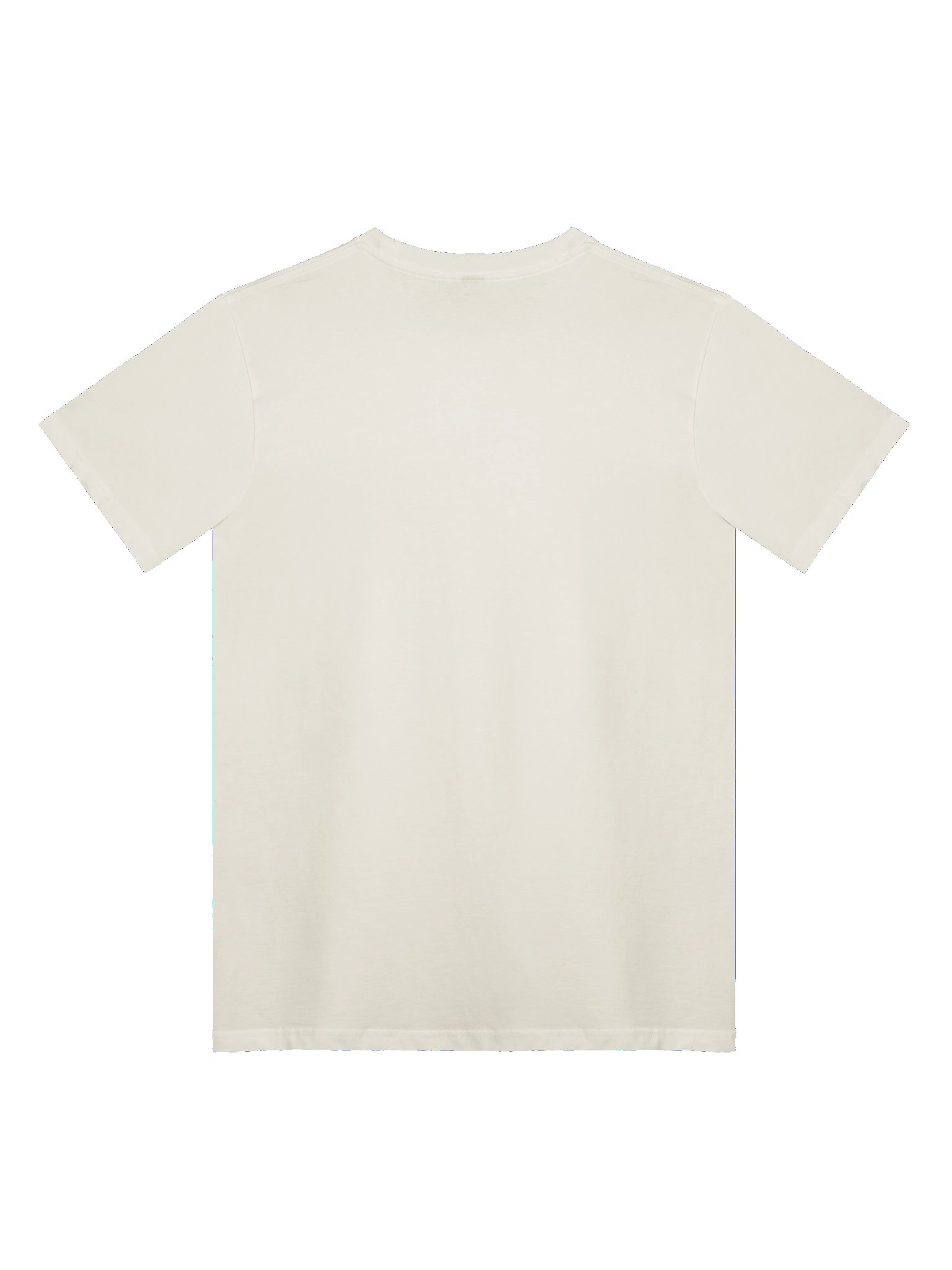 Sane When You Came Tee product image (4)