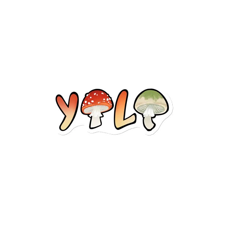 Yolo Magnet product image (2)