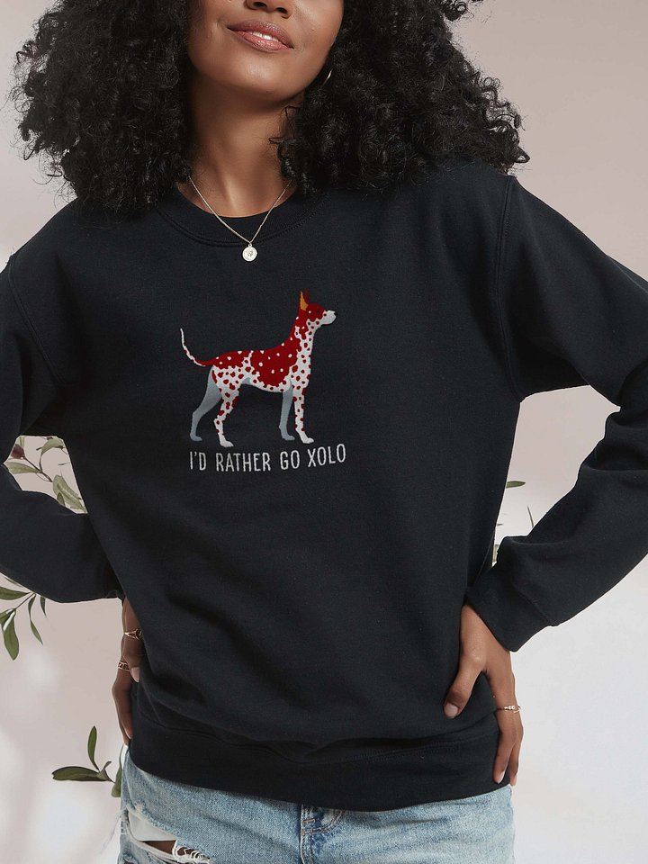 I'd Rather Go Xolo Sweatshirt (Embroidered) of a Xoloitzcuintli(Liver & White) product image (1)