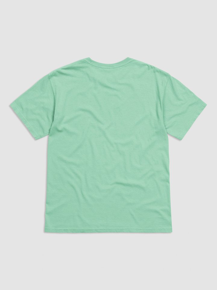 “Do Not Talk To Me Before My Coffee” Pig Graphic-T product image (2)