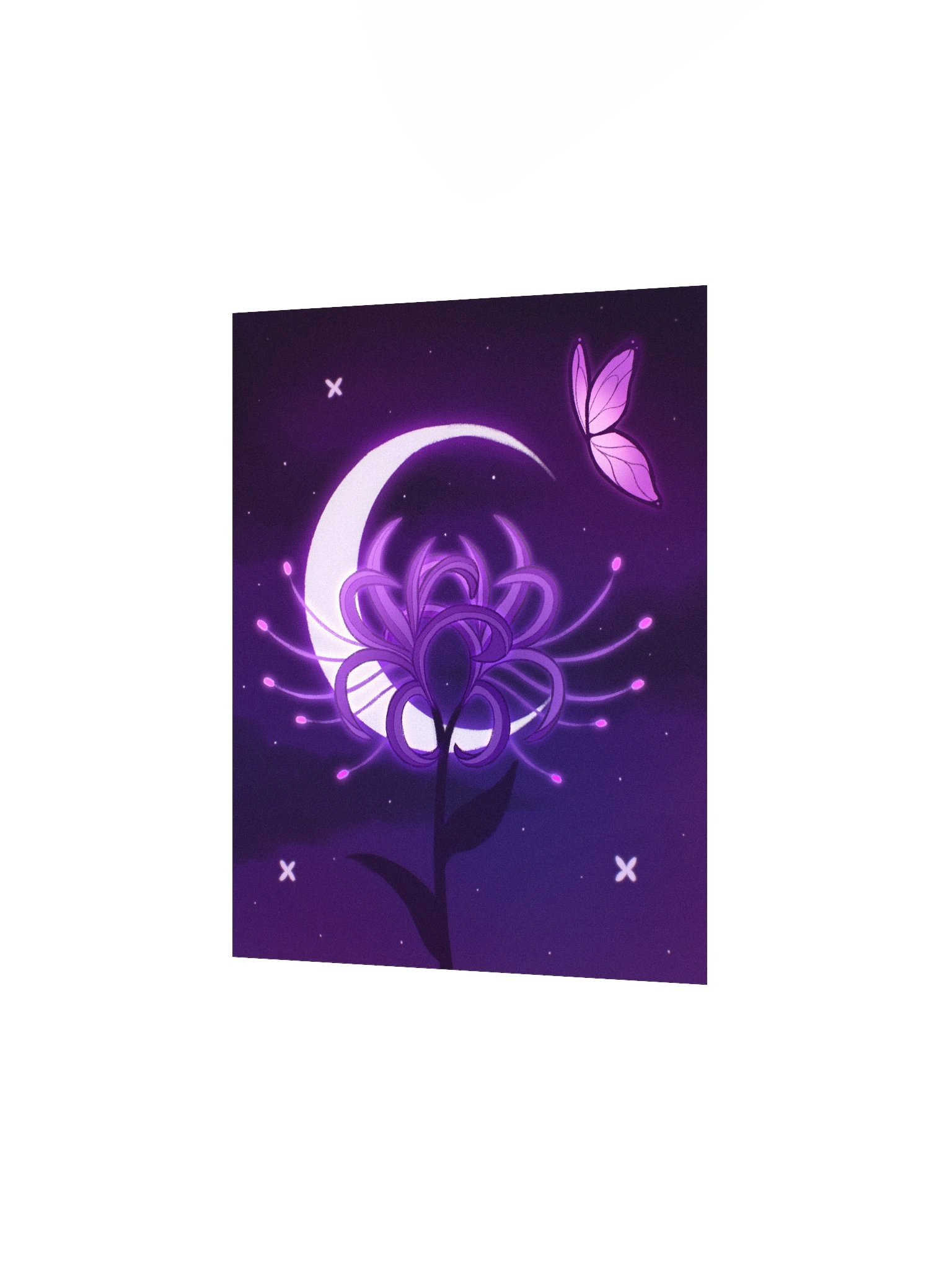 Lilac Spider Lily product image (4)
