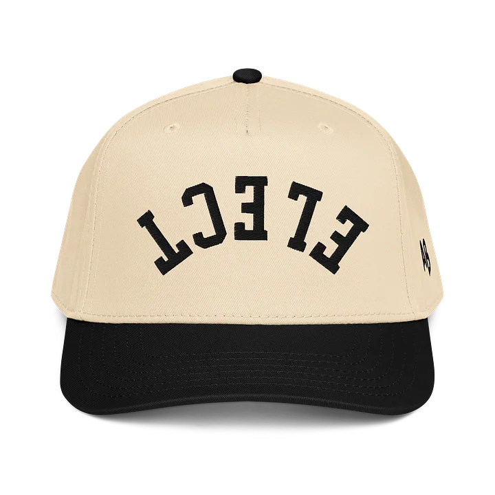 ELECT Hat - Antone Brothers product image (5)