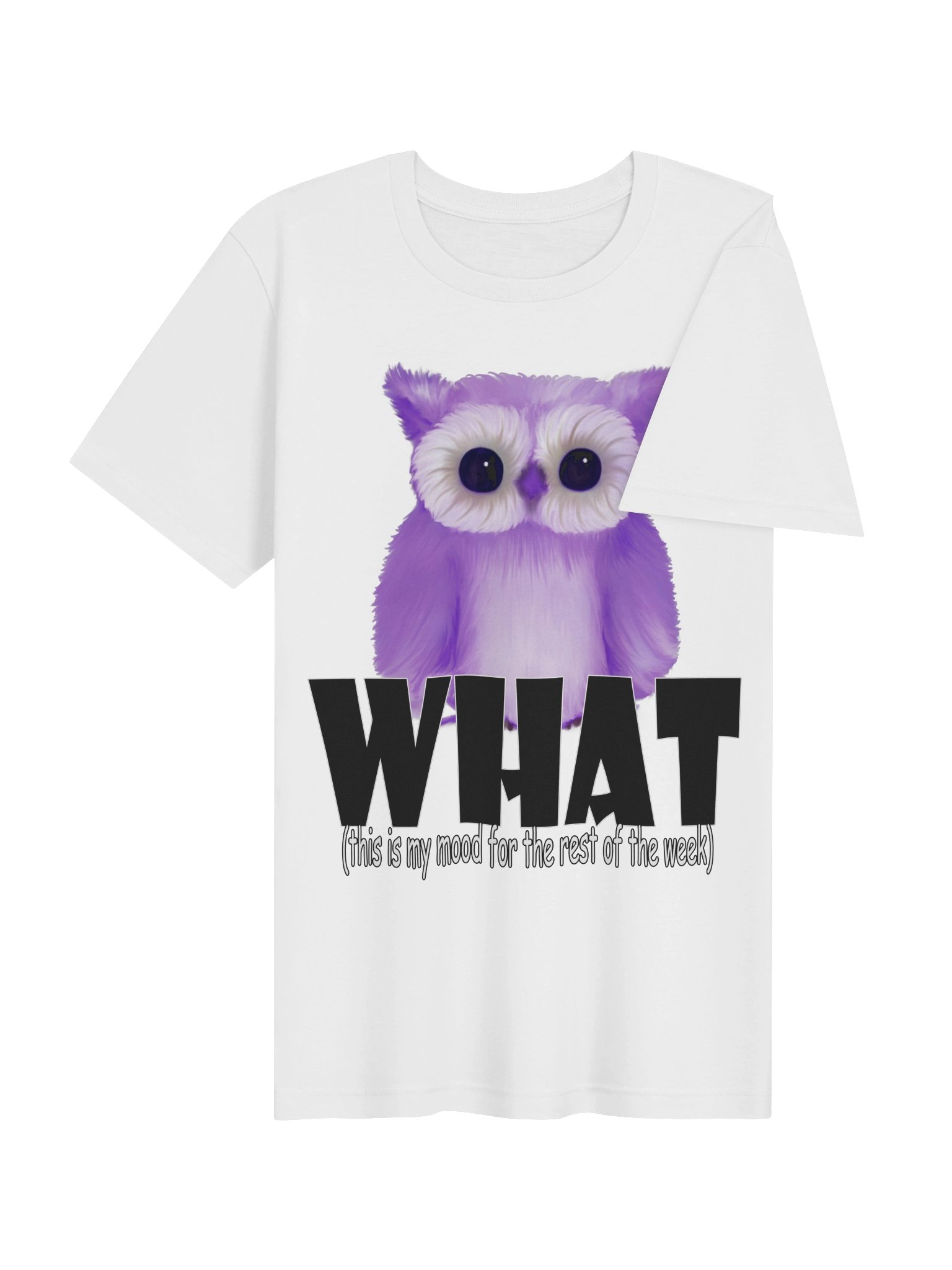 Owl "WHAT" T-Shirt. Women's Bella+Canvas Supersoft T-Shirt product image (5)