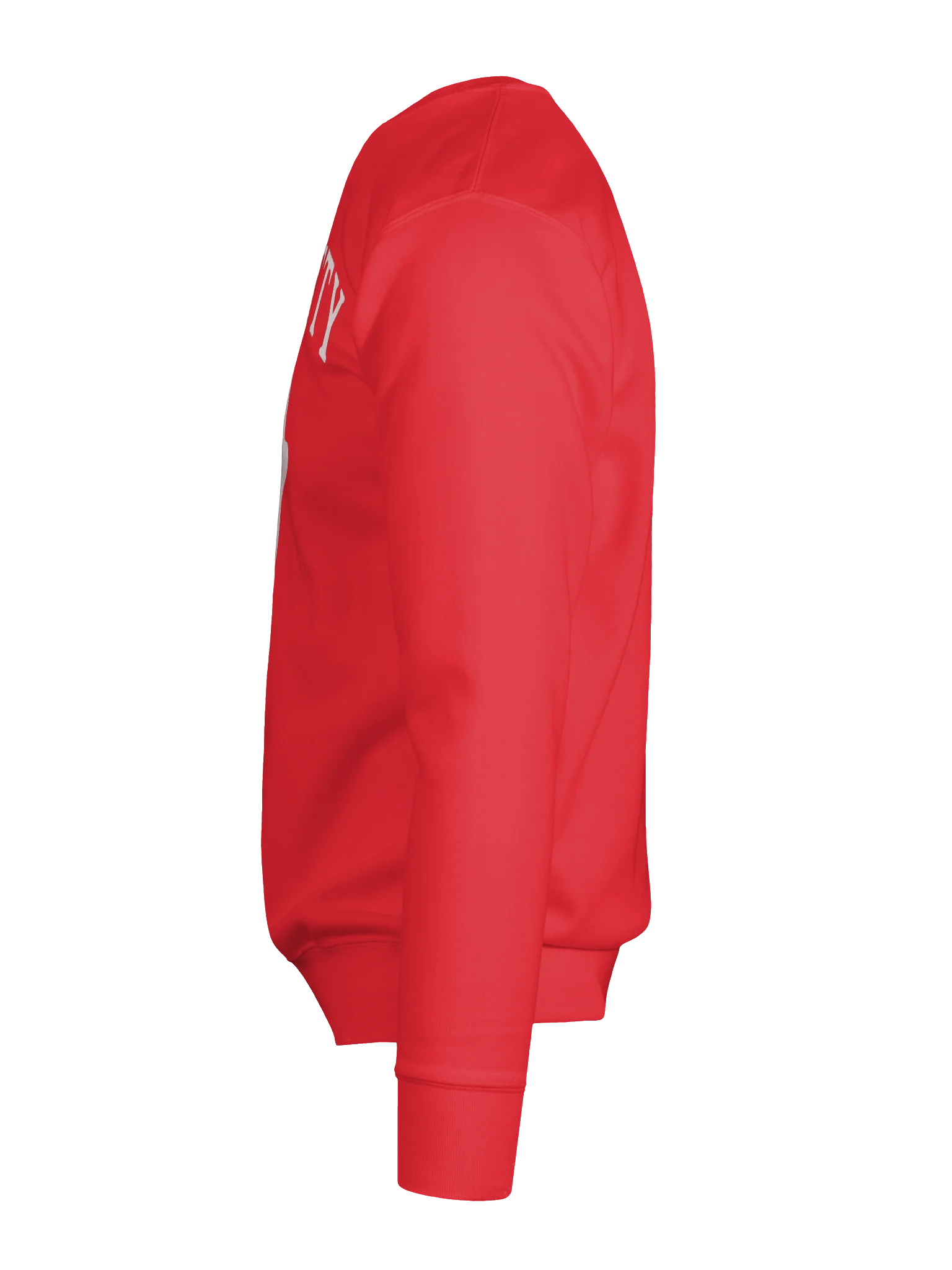 Chatty Ghost Premium Sweatshirt | Cozy Chatty Fall Collection product image (117)