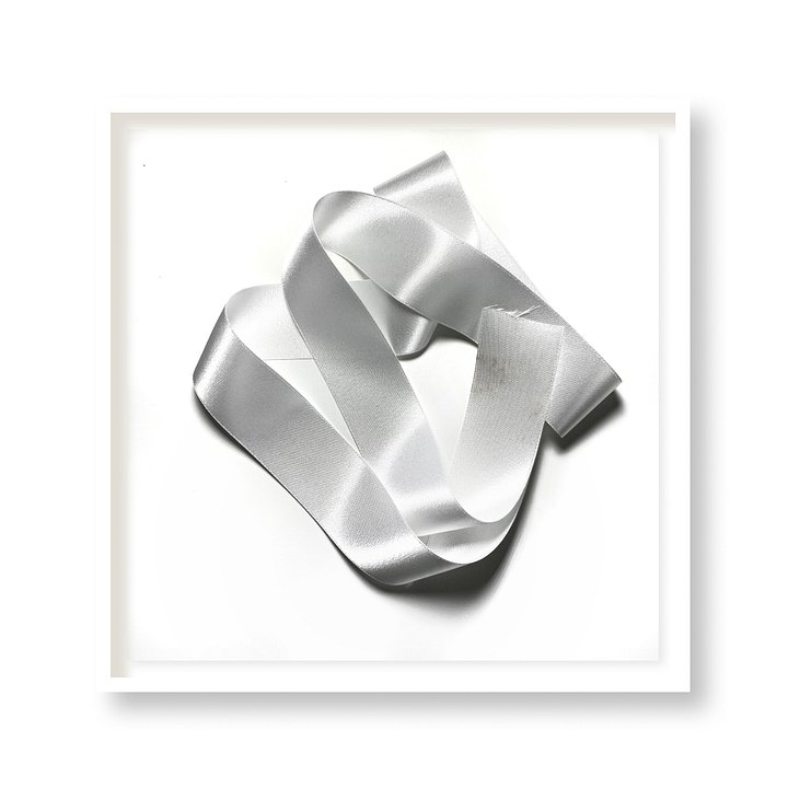 PLATINUM product image (1)