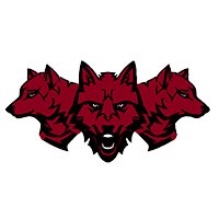 CaptainWolfpak
