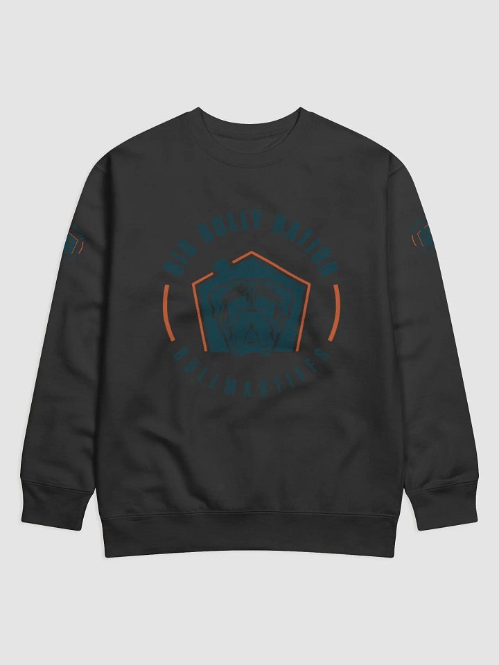 BBN Logo 2 Premium Sweatshirt product image (3)