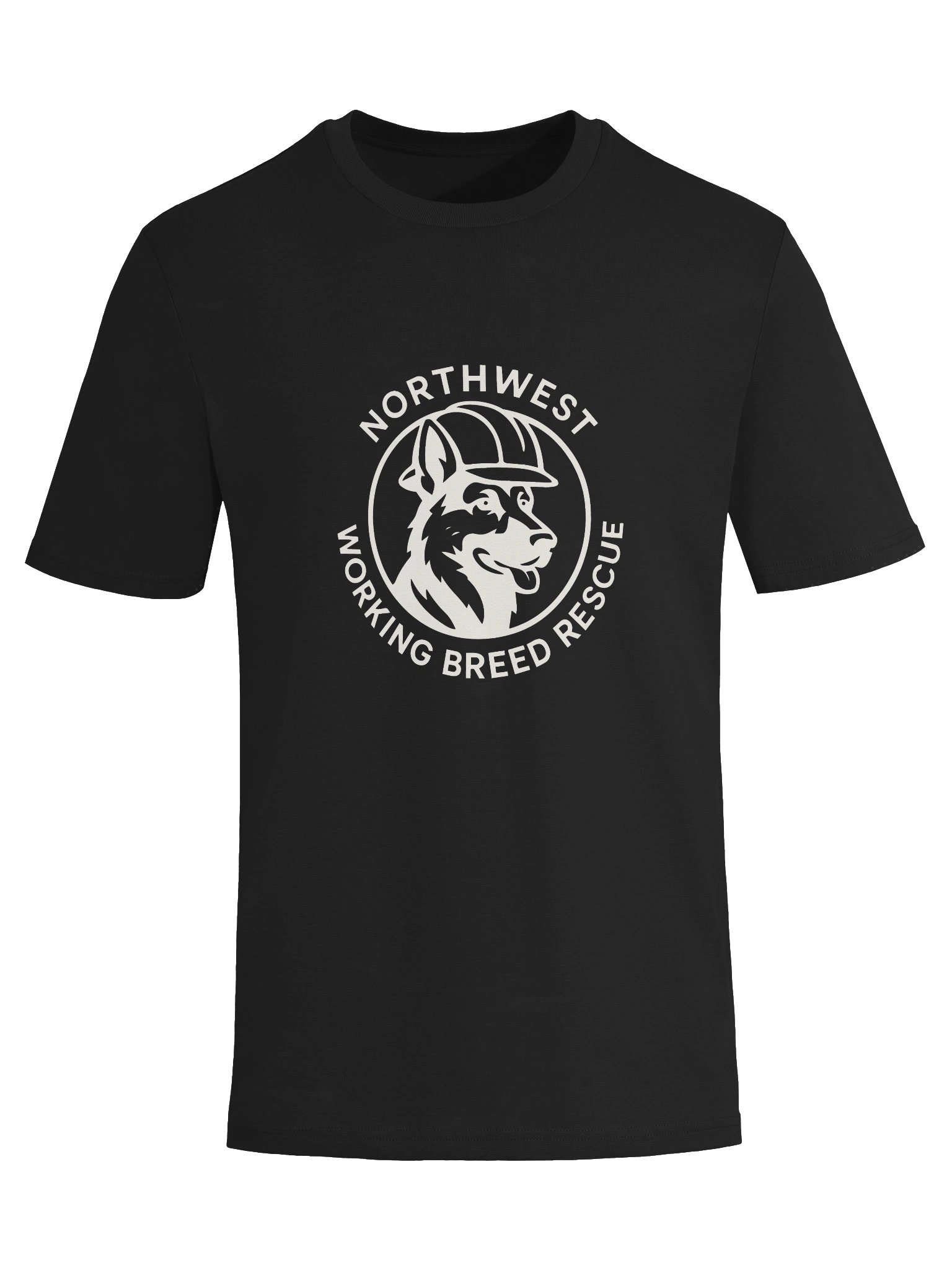 T-shirt product image (13)