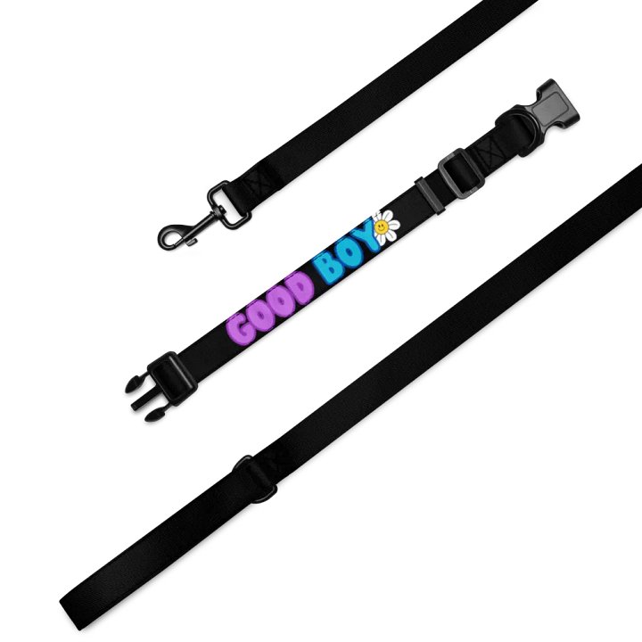 Good Boy Leash and Collar product image (2)