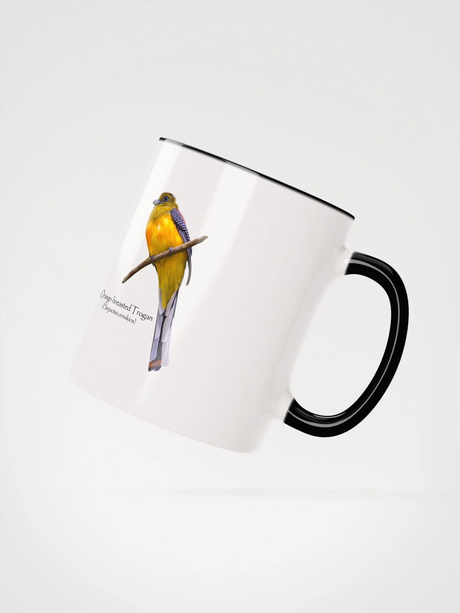 Orange-breasted Trogan mug product image (20)