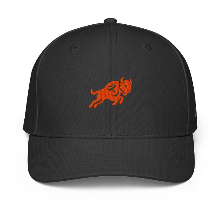 IronHerd Power Performance Cap product image (1)