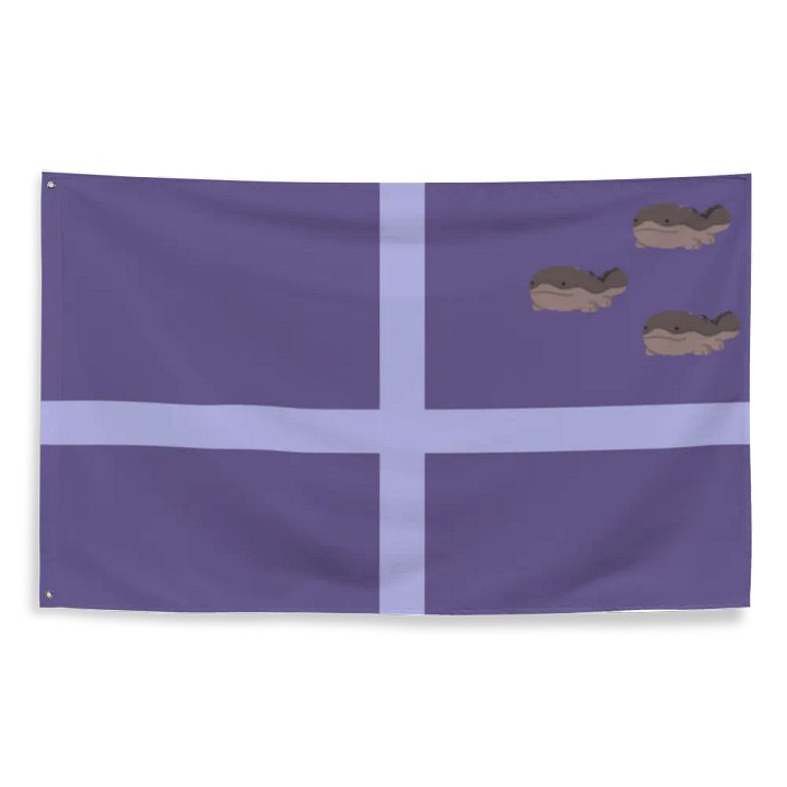 The flag of Clodsireland product image (2)