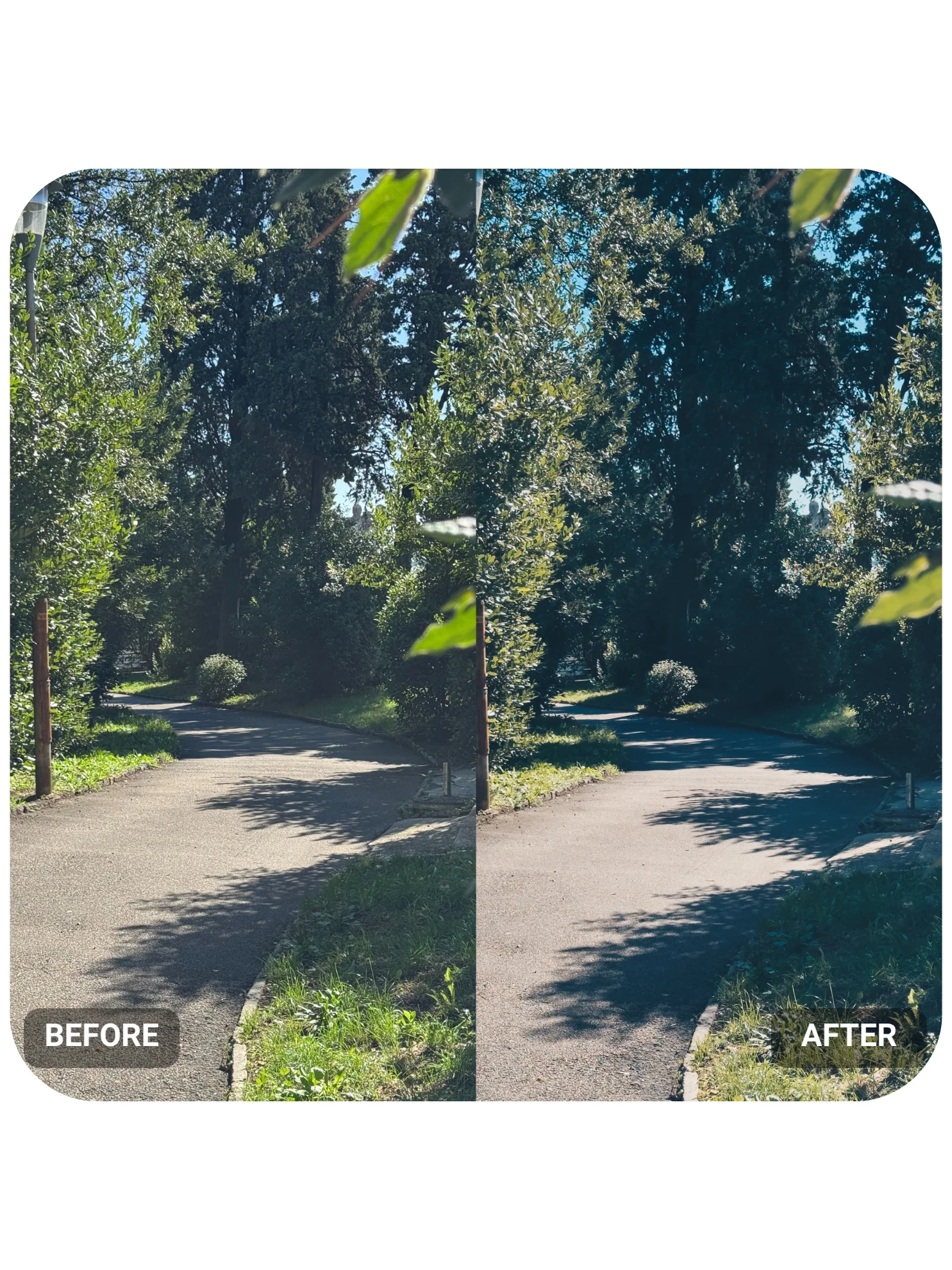 iPhone Creator Pack (LUTs & Presets) product image (5)
