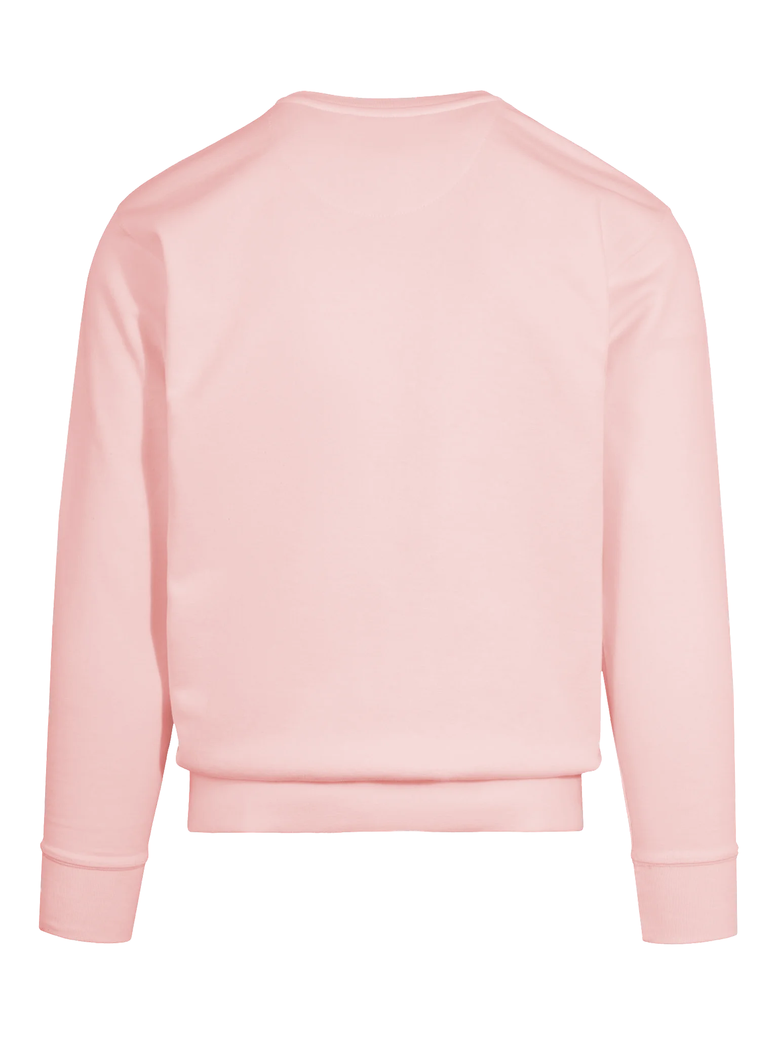 The Flamingo Heritage Sweatshirt 🦩 product image (138)