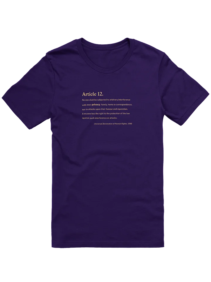 Article 12 - Supersoft T-Shirt (Bella+Canvas) product image (1)