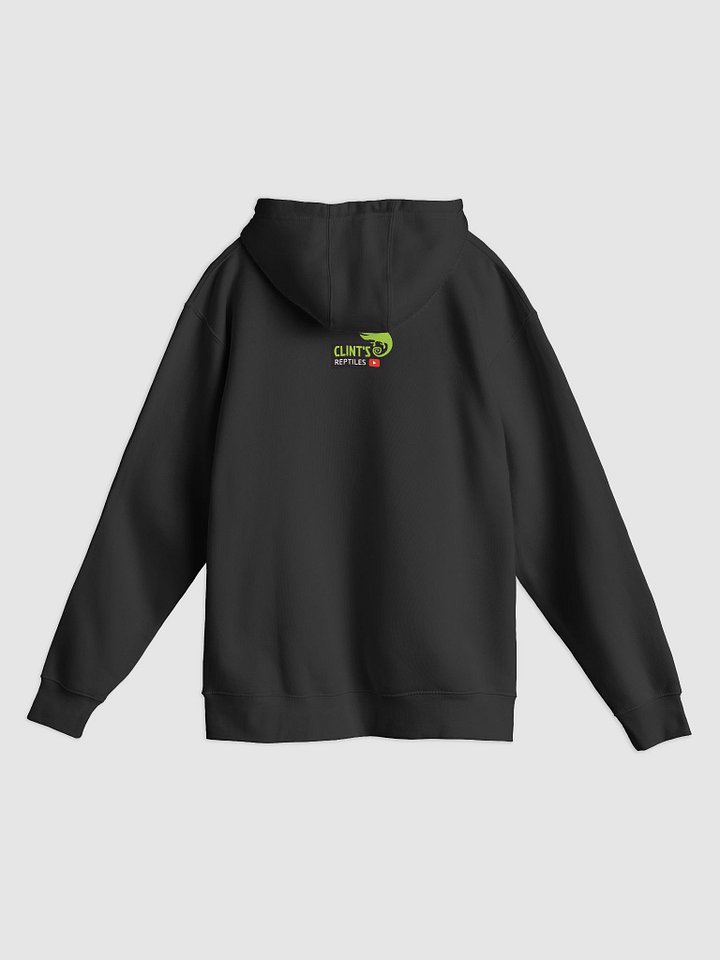 Penny walks Gus Gus - Hoodie product image (2)
