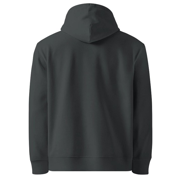 UFO Ultraconservative Family Oriented Hoodie product image (2)