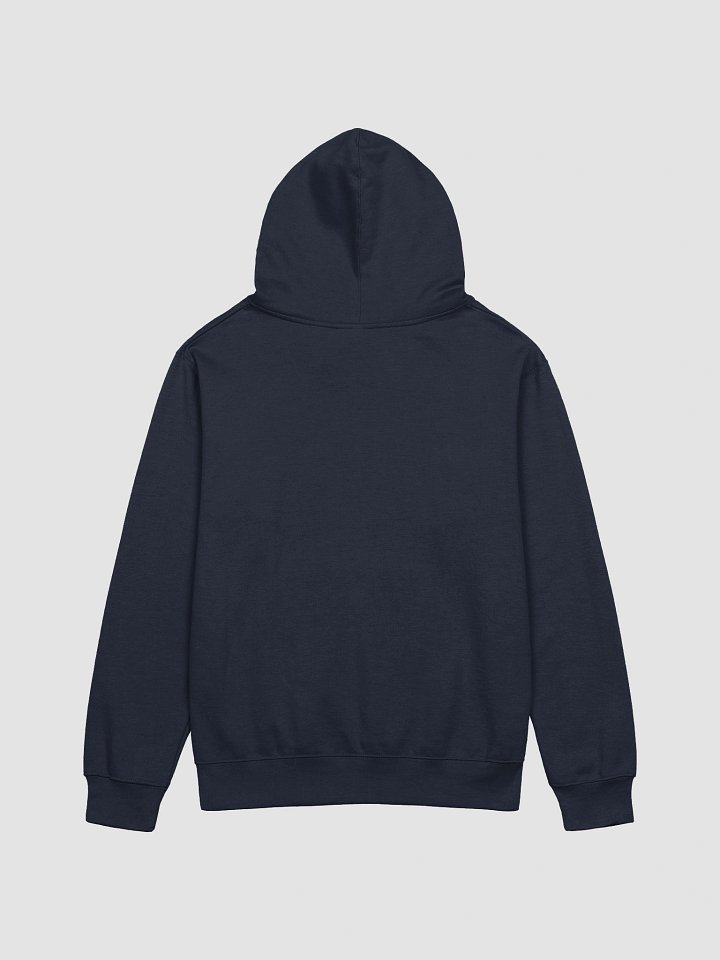 UFO Ultraconservative Family Oriented Hoodie product image (2)