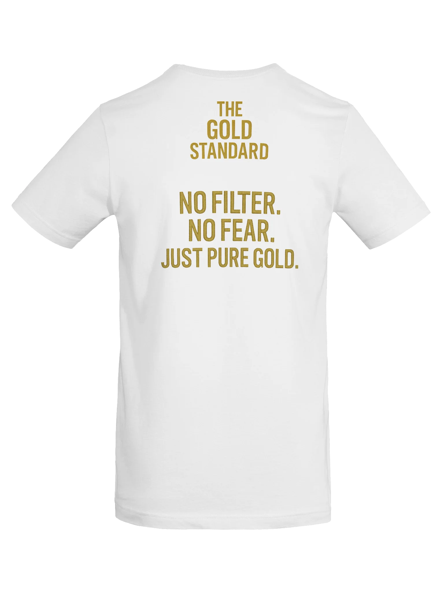“Reclaim the Rainbow” — A Sign of God’s Mercy, Not Man’s Pride T-Shirt | Gold Standard Collection product image (8)