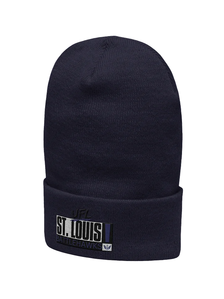 Kaw Kaw Stitched Beanie product image (2)