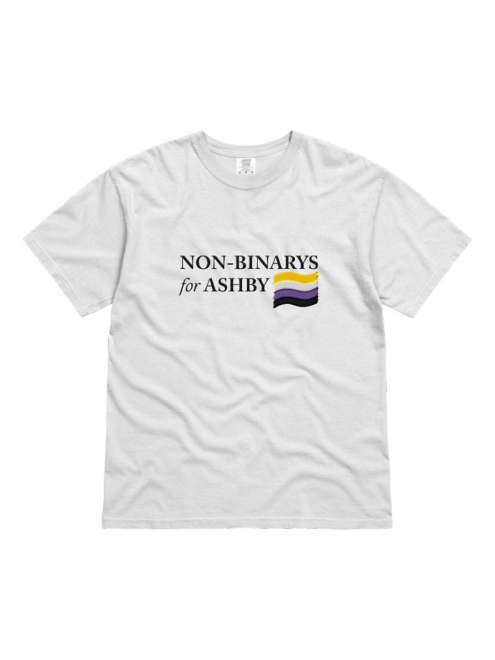 NON-BINARYS 4 ASHBY TSHIRT (embroidered) product image (1)