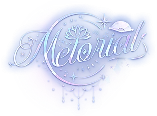 Metorial Merch