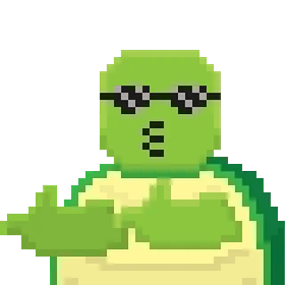 8DTurtles