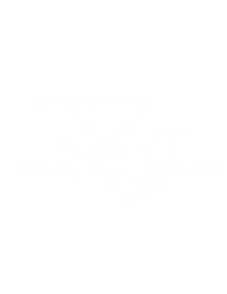 WisdomandWellness,LLC