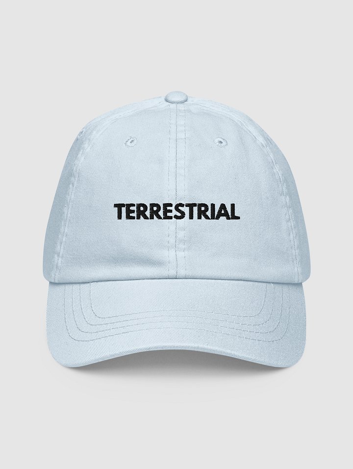 Classic Logo Pastel Hat product image (1)