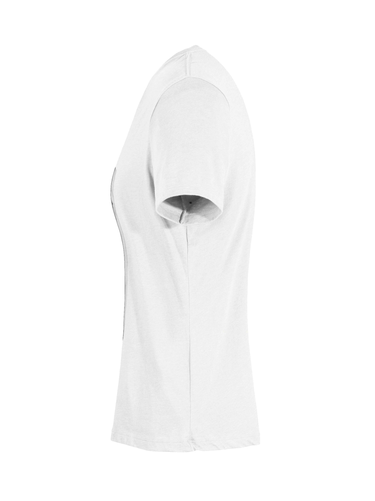 Ethereal Lioness V-Neck Tee product image (10)