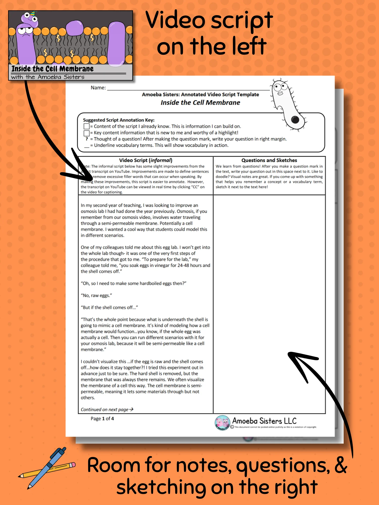 Amoeba Sisters Inside the Cell Membrane Annotated Video Script Template PDF product image (2)