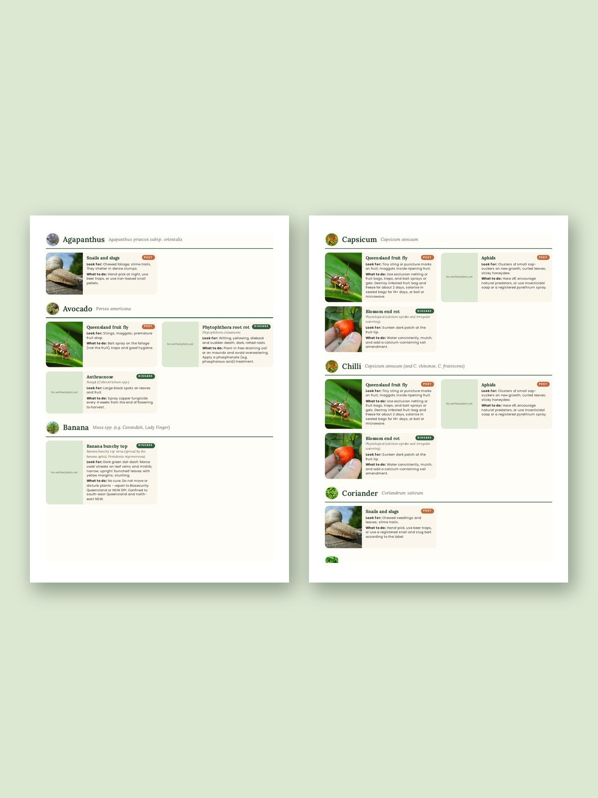 The Plant Doctor: Pest and Disease Charts (Australia Edition) product image (2)