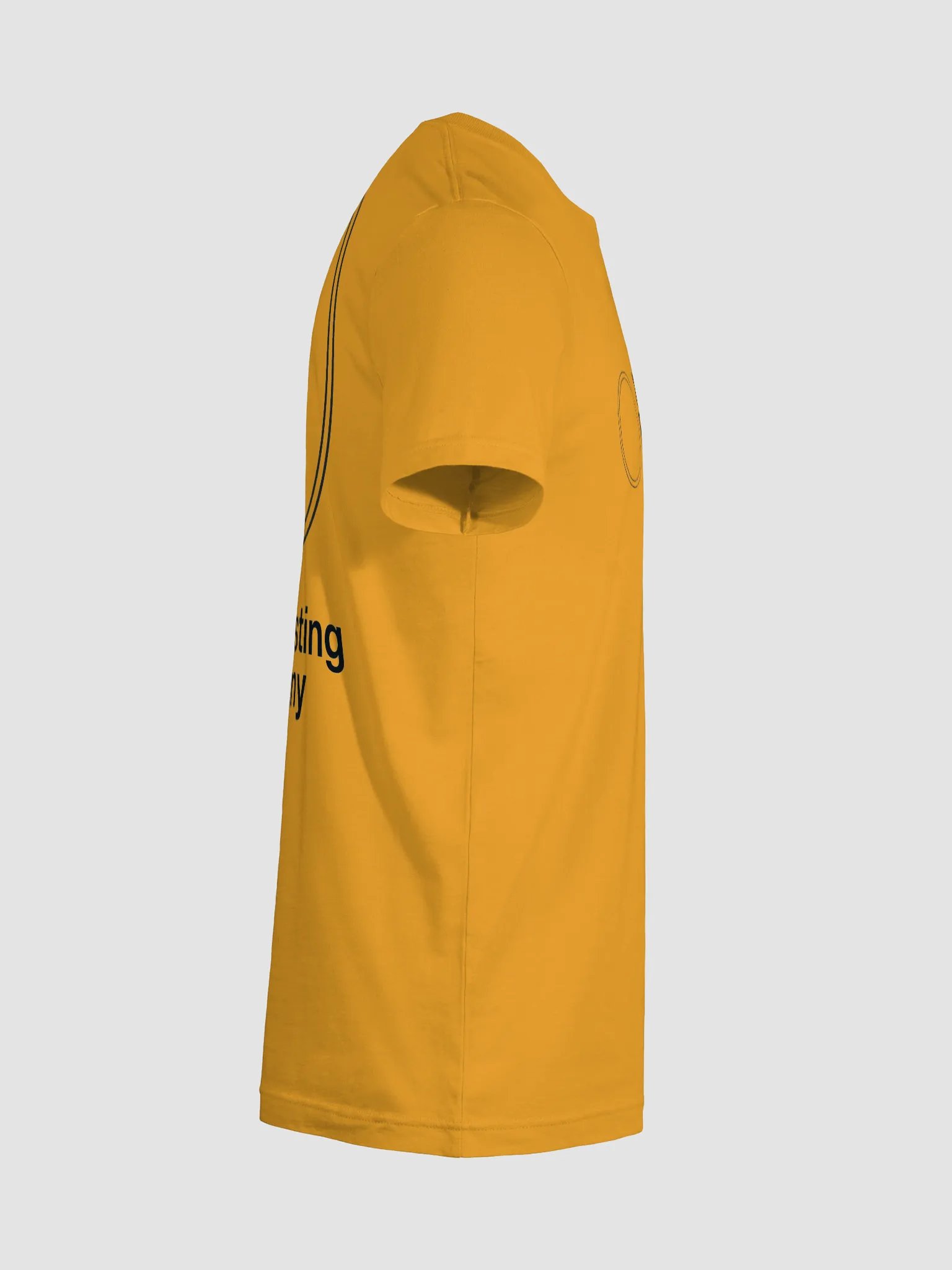 T-shirt (light) product image (10)
