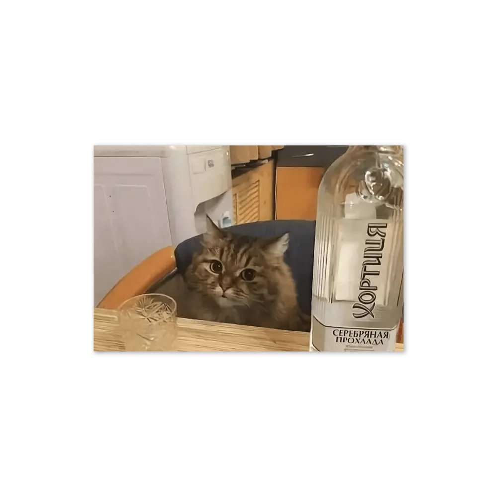 Greening Card: Meme Cats product image (22)
