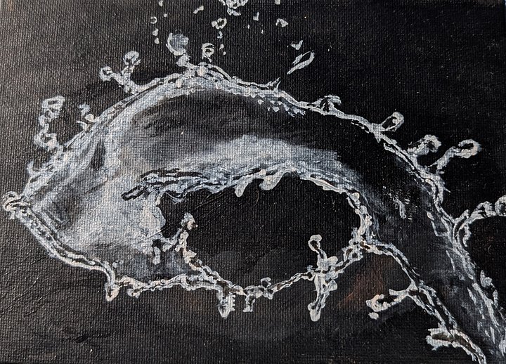 The Splash product image (1)