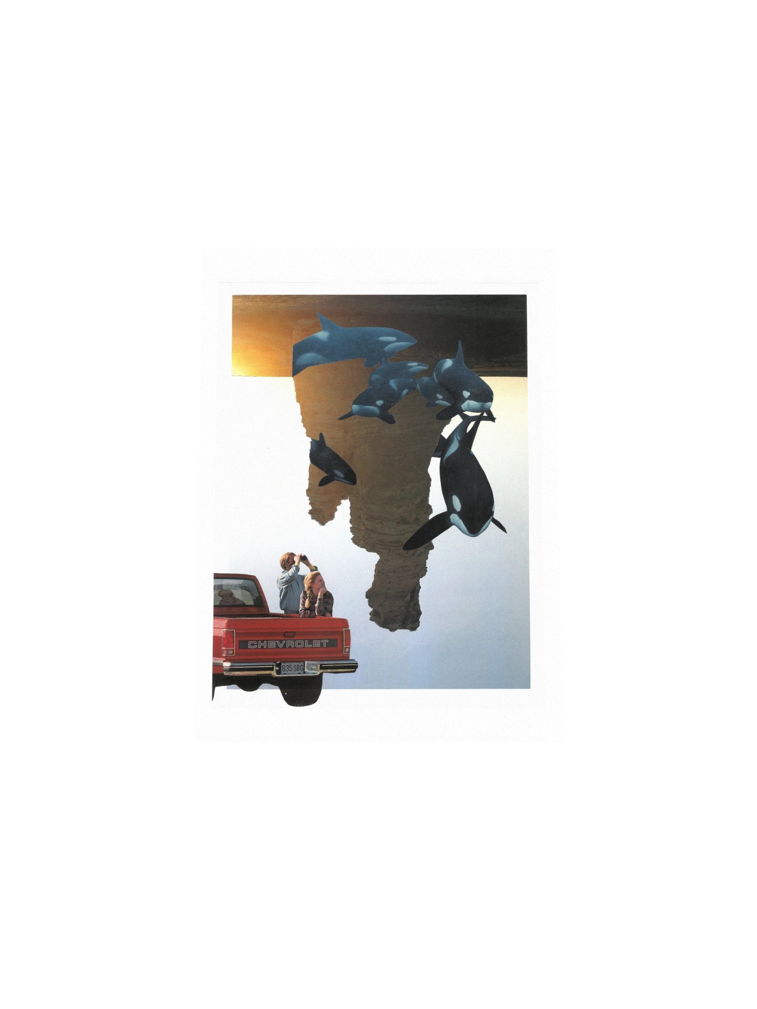 Long time, no sea product image (4)