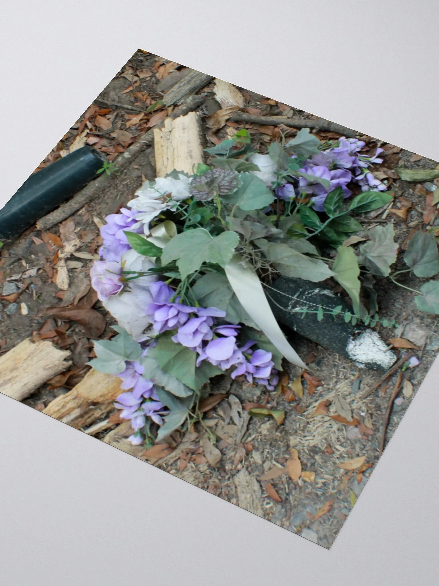 The Cockroach Named Hope product image (8)