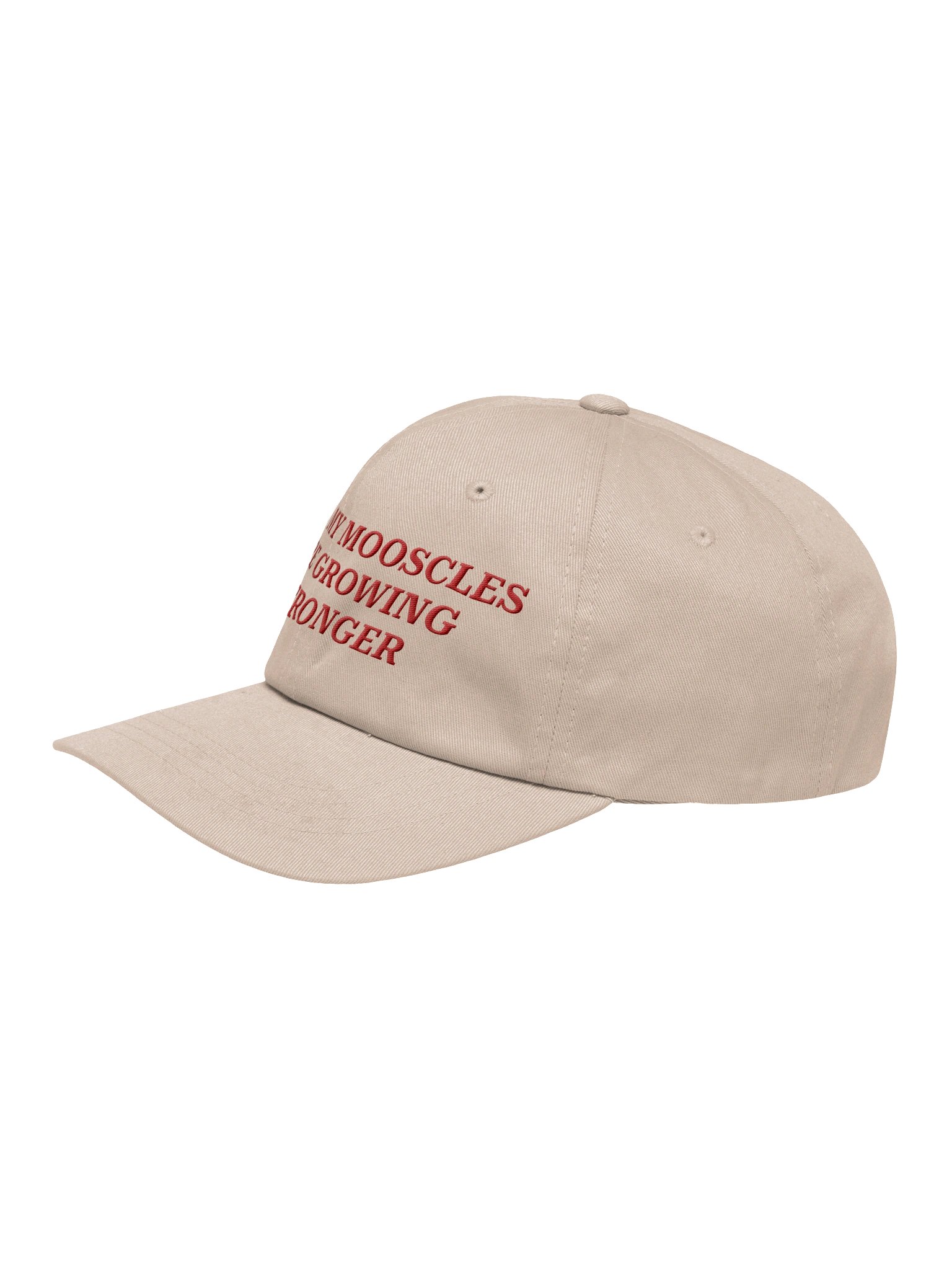 MOOSCLES HAT product image (15)